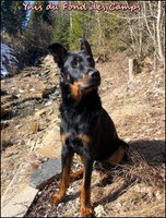 WhatsApp Image 2026-02-27 at 11.28.11 [LIR5 800x600]