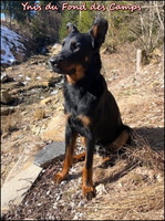 Ynis1 [LIR5 800x600]