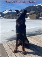 Ynis3 [LIR5 800x600]