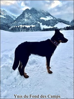 Ynis5 [LIR5 640x480]