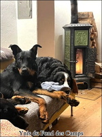 Ynis4 [LIR5 640x480]