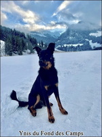 Ynis6 [LIR5 640x480]