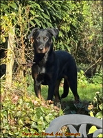 WhatsApp Image 2026-02-27 at 10.23.29 [LIR5 1024x768]