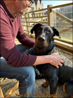 WhatsApp Image 2026-03-04 at 09.23.26 [LIR5 1024x768]