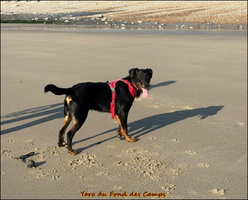 WhatsApp Image 2026-03-04 at 18.01.58 (1) [LIR5 1024x768]