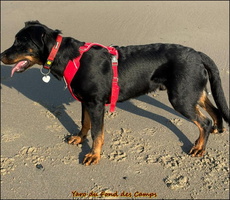 WhatsApp Image 2026-03-04 at 18.01.58 [LIR5 1024x768]