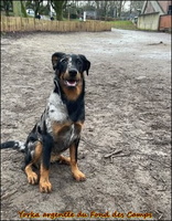 647706652 1660434478717794 7075691740340020730 n [LIR5 1024x768]