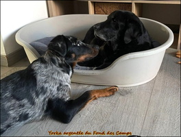 WhatsApp Image 2026-03-01 at 11.57.55 [LIR5 1024x768]