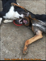 WhatsApp Image 2026-03-01 at 11.57.56 [LIR5 1024x768]