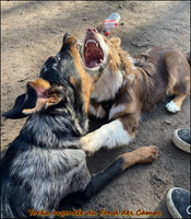 WhatsApp Image 2026-03-01 at 11.57.57 [LIR5 1024x768]