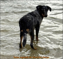 WhatsApp Image 2026-03-01 at 16.39.59 (1) [LIR5 1024x768]