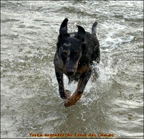 WhatsApp Image 2026-03-01 at 16.39.59 [LIR5 1024x768]