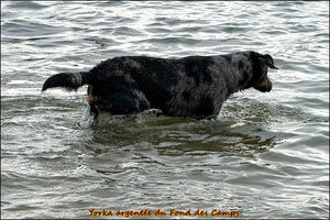 WhatsApp Image 2026-03-01 at 16.40.00 [LIR5 1024x768]