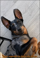 WhatsApp Image 2026-03-04 at 09.17.49 [LIR5 1024x768]