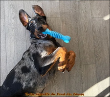 WhatsApp Image 2026-03-04 at 09.19.59 [LIR5 1024x768]