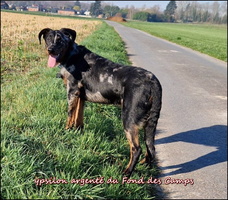 Ypsilon (2) [LIR5 800x600]