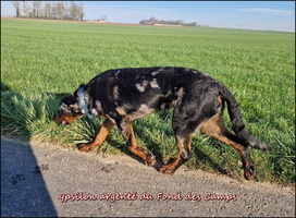 Ypsilon (3) [LIR5 800x600]