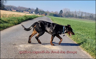 Ypsilon (4) [LIR5 800x600]