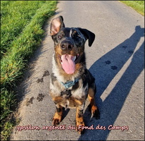 Ypsilon (5) [LIR5 800x600]