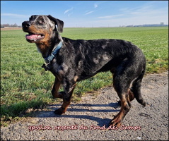 Ypsilon (6) [LIR5 800x600]