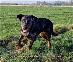 Ypsilon (7) [LIR5 800x600]