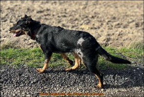 WhatsApp Image 2026-03-01 at 16.59.48 [LIR5 1024x768]