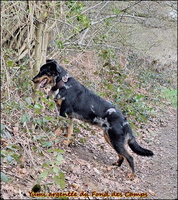 WhatsApp Image 2026-03-01 at 16.59.49 (1) [LIR5 1024x768]