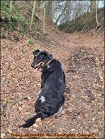 WhatsApp Image 2026-03-01 at 16.59.49 (2) [LIR5 1024x768]