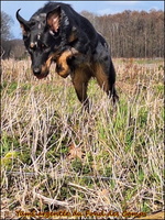 WhatsApp Image 2026-03-01 at 16.59.49 (3) [LIR5 1024x768]