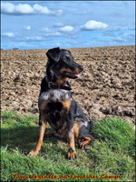 WhatsApp Image 2026-03-01 at 16.59.49 (4) [LIR5 1024x768]