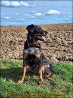 WhatsApp Image 2026-03-01 at 16.59.49 (5) [LIR5 1024x768]