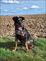 WhatsApp Image 2026-03-01 at 16.59.49 (6) [LIR5 1024x768]