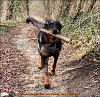 WhatsApp Image 2026-03-01 at 16.59.49 [LIR5 1024x768]