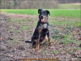 WhatsApp Image 2026-03-05 at 21.45.25 [LIR5 1024x768]