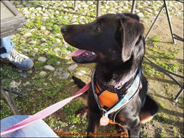 WhatsApp Image 2026-02-24 at 19.14.29 [LIR5 1024x768]