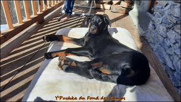 WhatsApp Image 2026-02-25 at 12.10.58 [LIR5 1024x768]