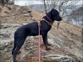 WhatsApp Image 2026-03-08 at 09.25.17 (1) [LIR5 1024x768]