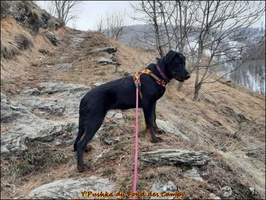 WhatsApp Image 2026-03-08 at 09.25.17 [LIR5 1024x768]