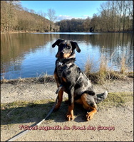 WhatsApp Image 2026-02-14 at 16.42.38 [LIR5 800x600]