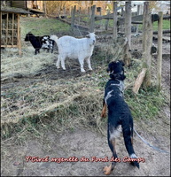 WhatsApp Image 2026-02-14 at 16.42.40 (1) [LIR5 800x600]