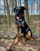 WhatsApp Image 2026-03-01 at 13.24.10 [LIR5 800x600]