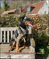 WhatsApp Image 2026-03-07 at 14.24.02 [LIR5 800x600]